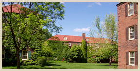 Ivy Coated Brick Exteriors