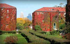 Minneapolis Apartments